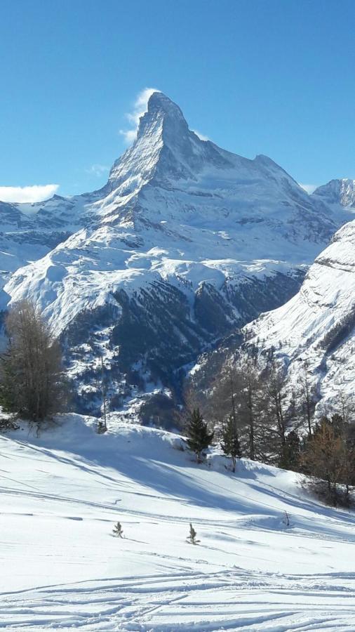 Appartement Au Centre De Zermatt Dış mekan fotoğraf